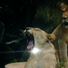 Юлия Качимова, 28.07.2001