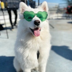 Дияра Диханова, 14.09.1997, Астана