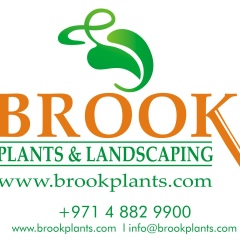 Brook Plants, 14.12.1927, Dubai