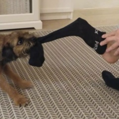 Денис Кистенев, 23.07.1983, Санкт-Петербург