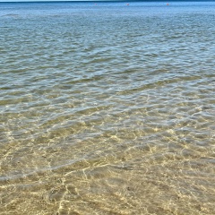 Евгений Маевский, Воронеж