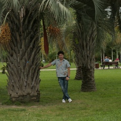 Николай Гогонин, 27.04, Toronto