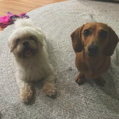 Данна Аббасова, 27.06