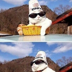 Дмитрий Гончаров, 05.11, Санкт-Петербург