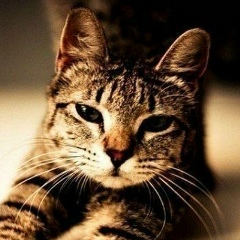 Марина Ким, 05.03, Братск