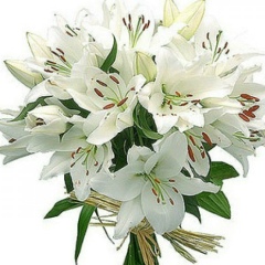 Лiлiана Гуцуляк, 25.08.1988, Львов