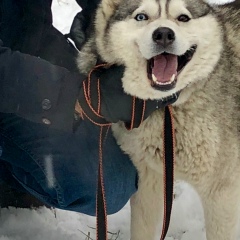 Зоран Топалович, 02.03.1991, Москва
