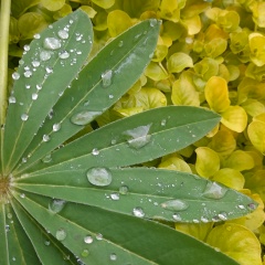 Екатерина Коваленко, 25.07, Санкт-Петербург