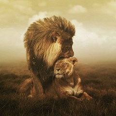 Дархан Кабыш, 25.02.1986, Алматы