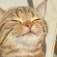 Артур Бакиев