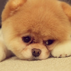 Ангелина Десяткина, 07.07, Уфа