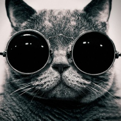 Кирилл Федоров, 29.07.1982, Казань