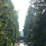 Азат Каримов, 26.05.1984, Санкт-Петербург