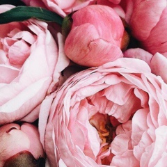 Карина Сенкевич, 14.04