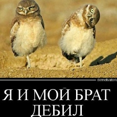 Саша Аеточека, Москва