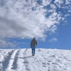 Андрей Соколов, Москва