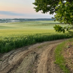 Константин Невмержицкий, 31.01, Минск