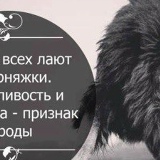 Юнади 999, 03.03, Москва