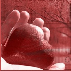 Кристина Котлечкова, 15.01, Узловая