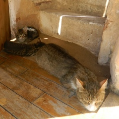 Игорь Давыдов, 01.01.1986, Москва