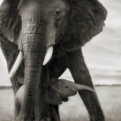 Анна Щукина, 21.05, Москва