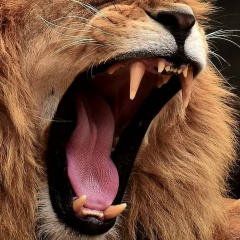 Ирина Домина, 07.08, Новосибирск