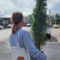 Маргарита Султанова, Москва