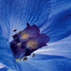 Людмила Самойленко, 28.07, Запорожье