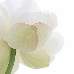 Анна П, Самара