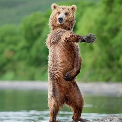 Владимир Рожков, 08.04, Boston