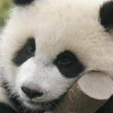 Елена Курбатова, 23.09, Санкт-Петербург