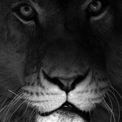 Сулейман Гаджиев, 24.07, Махачкала