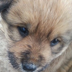 Amid Buttabekov, 12.03.1990, Москва