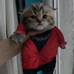 Федор Феофанов