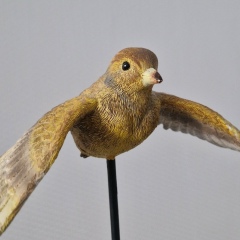 Lyudmila Bondarkova, 07.09, Астана