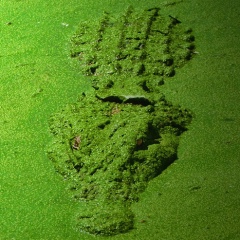 Tamerlan Suydumov, 16.12.2006, Москва