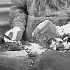 Рамазан Абидов, 15.04.1992, Тула