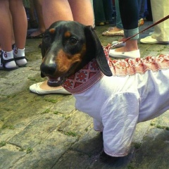 Дмитрий Заболотнюк, 21.08.1992, Санкт-Петербург