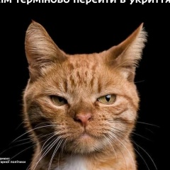 Римма Каширкина, 14.01, Днепр (Днепропетровск)