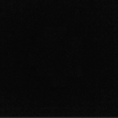 Kralovna Mrkev, 22.07, Habana