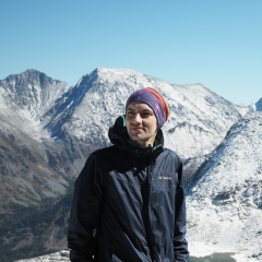 Николай Черешнев, Москва