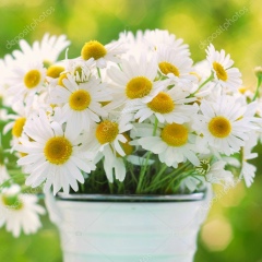 Наталья Балашова, 20.10, Новосибирск