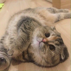 Айнур Сапарова, 23.11, Павлодар