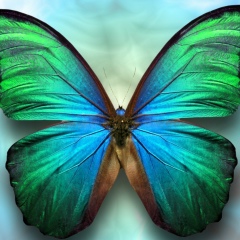 Мария Смоленская, 11.05.1984, Москва