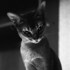 Ксеня Ракитина, 25.02, Praha