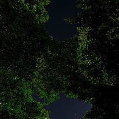 Иман Матуева, 28.08.1997, Старица