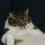 Андрей Фатьянов, 30.07.1991, Кемерово