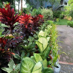 Thant Phyo, 04.12.1997