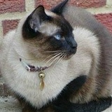 Nadiya Lesyk, 09.10, Ратно