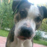 Виктор Резник, 03.05, Санкт-Петербург